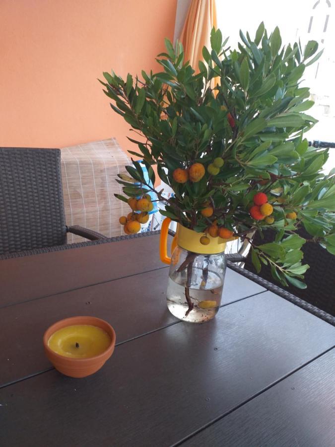 Apartmani Marijanovic Vir Extérieur photo