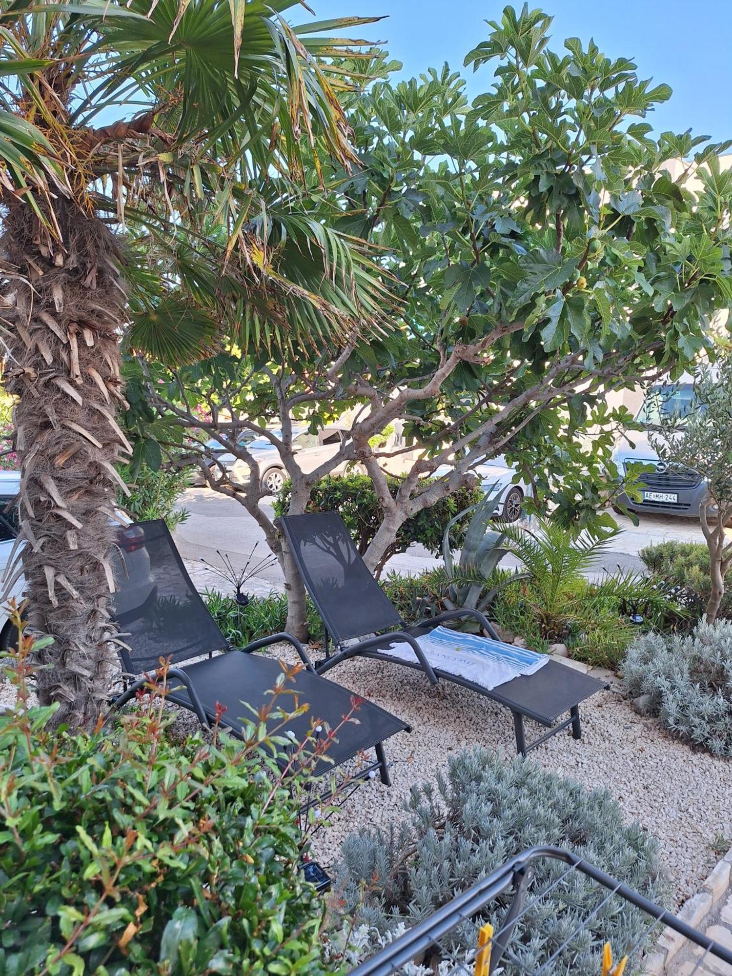 Apartmani Marijanovic Vir Extérieur photo